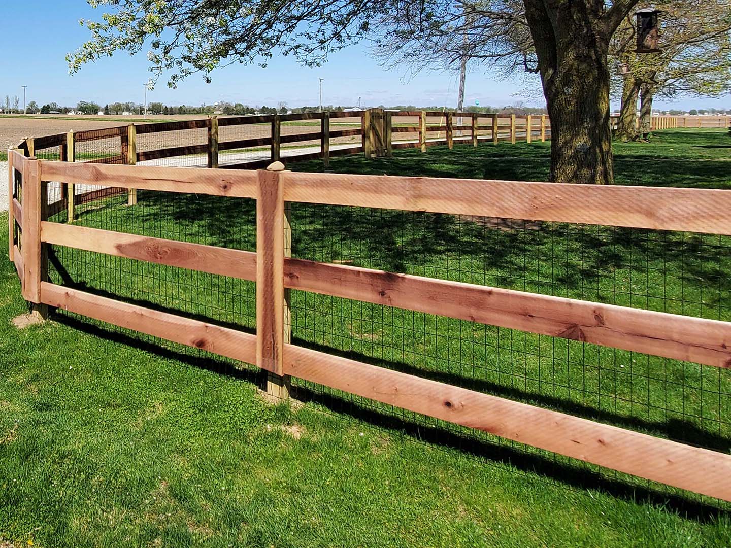 Farm Kentucky Board Fence in Dayton Ohio